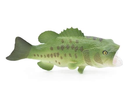 realistic rubber fish.